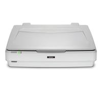 Epson Expression 13000XL Pro Numérisation à plat 2400 x 4800 DPI A3 Gris, Blanc