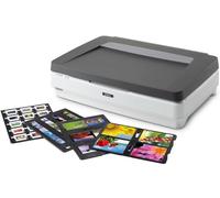 Epson Expression 13000XL Pro Numérisation à plat 2400 x 4800 DPI A3 Gris, Blanc
