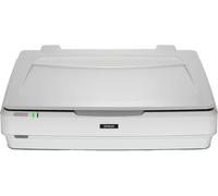 Epson Expression 13000XL Scanner à plat 2400 x 4800 DPI A3 Blanc
