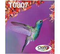 Epson Hummingbird Multipack 6 couleurs T0807 Claria Photographic Ink EasyMail - Original - Encre sur pigment