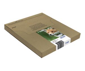 epson ink/t128 easymail fox cmyk - C13T12854511