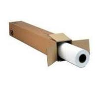 Epson MetallicProof Film, 24" x 30.5m, 184g/m² grand format moyen