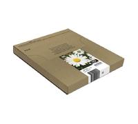 Epson Daisy Multipack "Pâquerette" 18 - Encre Claria Home N,C,M,J