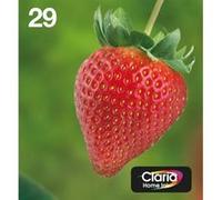 EPSON Multipack EasyMail T2986 - Fraise - Noir, Cyan, Jaune, Magenta (C13T29864511)