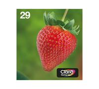 Epson Multipack Fraise 29 C13T29864511 : 1 Noir 5.3ml + 3 Couleurs 3.2ml Claria Home Ink - Jet d'encre - Expression Home XP-235 à XP-455
