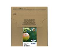 Epson Apple Multipack "Pomme" (T1295) - Encre DURABrite Ultra N, C, M, J