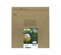 Epson Apple Multipack "Pomme" (T1295) - Encre DURABrite Ultra N, C, M, J
