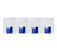Epson Pap Cold Press Bright 17" (0.432x15.2m) 305g