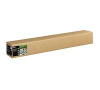 Epson Papier Beaux-Arts Coton Texturé Bright II 300 g/m², 44x 15 mètres