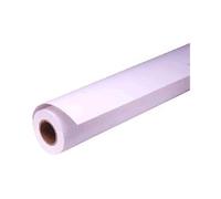 Epson Pap Photo Premium Glacé (250) 16" (0,406x30,5m)