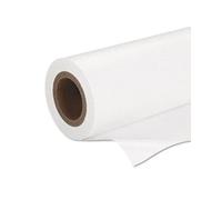 Epson Papier Photo Premium Semi-Glacé 170, 166g/m², Rouleau 16.5" (419mm x 30.5m), Brillance 0.91, Opacité 94%, Ref C13S042075