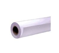 Epson Papier Photo Premium Semi-Glacé 250 255g, Rouleau 16" (406mm x 30.5m), Référence C13S041743, Compatible Stylus Pro/SureColor