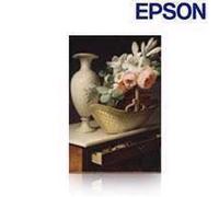 Papier toilé EPSON Canvas C13S045296 Jet d'encre - 1117,60 mm x 12,20 m - Mat - 1 Rouleau