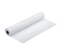 Epson Proofing Paper Standard - Semi-mat - 9 mils - Rouleau (61 cm x 30,5 m) - 240 g/m² - 1 rouleau(x) papier épreuve - pour SureColor SC-P10000, P20000, P6000, P7000, P7500, P8000, P9000, P9500...