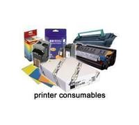 Epson Support Adhésif Synthétique Supérieur 135g/m² - Rouleau 24" (61cm) x 30.5m - 165µm - Ref: C13S041617