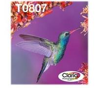 Epson Hummingbird Multipack "Colibri" (T0807) - Encres Claria N, C, M, J, Cc, Mc