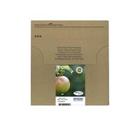 Epson Apple Multipack "Pomme" (T1295) - Encre DURABrite Ultra N, C, M, J