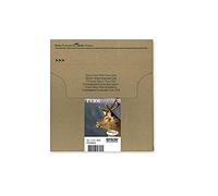 Epson Stag Multipack "Cerf" (T1306) - Encre DURABrite Ultra C, M, J (XL)