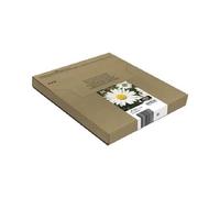 Epson T1806 Easy Mail Packaging - Pack de 4 - 15.1 ml - noir, jaune, cyan, magenta - original - boîte - cartouche d'encre - pour Expression Home XP-212, 215, 225, 312, 315, 322, 325, 412, 415...