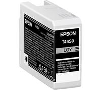 Epson UltraChrome Pro cartouche d'encre 1 pièce(s) Original Gris clair