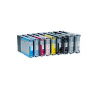 Epson T6029 cartouche d'encre 1 pièce(s) Original Noir très pâle