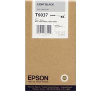 Epson encre C13T603700 light noir