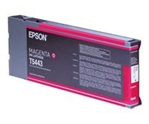 Epson T6143 - magenta - original - cartouche d'encre