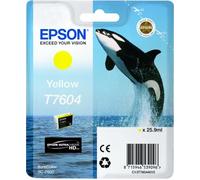 Epson T7604 Jaune