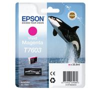Epson T7603 cartouche d'encre 1 pièce(s) Original Magenta vif