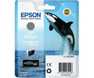 Epson T7607 cartouche d'encre noir clair - 1000 Pages - C13T76074010