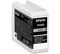 Epson UltraChrome Pro cartouche d'encre 1 pièce(s) Original Gris clair