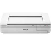 Epson WorkForce DS-50000 - Scanner à plat - A3 - 600 dpi x 600 dpi - jusqu'à 4 ppm (mono) / jusqu'à 4 ppm (couleur) - USB 2.0