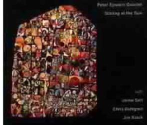 Epstein, Peter Quartet - Staring at The Sun