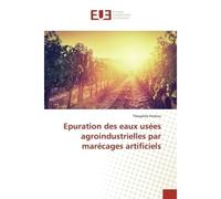 Epuration des eaux usées agroindustrielles par marécages artificiels - Théophile Fonkou - Universitaires Europeennes - broché - Livre