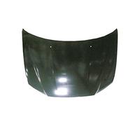 Equal Quality l06028 capot moteur pour voiture