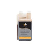 Equanis Devil's Claw | 1 l | Griffe du Diable Liquide pour Les Chevaux ayant des problèmes locomoteurs | Peut Aider à Soutenir Les Chevaux ayant des problèmes d'articulations