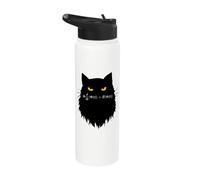 Équation de Schrödinger dépendant du temps Cat Stainless Steel Insulated Water Bottle