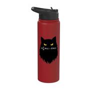 Équation de Schrödinger dépendant du temps Cat Stainless Steel Insulated Water Bottle