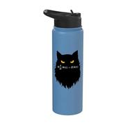 Équation de Schrödinger dépendant du temps Cat Stainless Steel Insulated Water Bottle