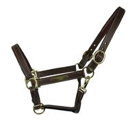 Equest Licol En Cuir Inscrit Pour Chevaux, Doublé - Mocha, L - Full/Warmblut