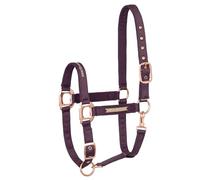 EQUESTRIAN QUEEN Licol de cheval réglable - Élégant licol avec ferrures en satin et or rose, rembourré pour plus de confort et robuste pour une utilisation quotidienne - Milan (bordeaux, Full