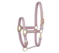 EQUESTRIAN QUEEN Licol de cheval réglable - Élégant licol avec ferrures en satin et or rose, rembourré pour plus de confort et robuste pour une utilisation quotidienne - Milan (rose, cob (pur-sang)