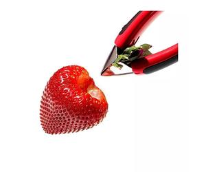 Equeuteur coupe queue pour les fraises OXO