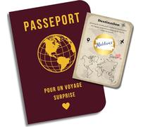 EQUIK PRODUCTS Passeport Cadeau Voyage Surprise - Carte à Gratter Personnalisable + Bon à Compléter + Carnet de Voyage Vintage | Idée Cadeau Originale pour Voyageur ou Voyageuse (Voyage Surprise)