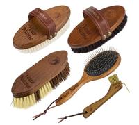 Equimour Kit de démarrage - Kit de toilettage pour cheval - 5 pièces - Avec crin de cheval, brosse à cheveux de chèvre, brosse à racines, brosse à crinière et grattoir à sabots - Outil de nettoyage