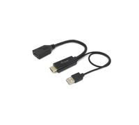 Equip 119039 câble vidéo et adaptateur 0,15 m HDMI Type A (Standard) DisplayPort Noir G