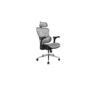 Equip 651050 : Chaise de bureau ergonomique, assise Mesh grise, dossier grillagé, accoudoirs 3D, support lombaire & tête, réglable 90-120°, charge 150kg