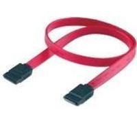 Equip® Câble de connexion SATA 3 Gb/s, 0,5m (111800)