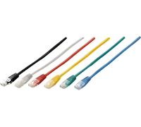 Equip Câble patch Cat6 U/UTP 2xRJ45 1.00m noir PVC Polybag