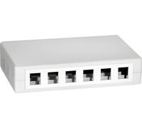 Equip Prise en saillie 12x Keystone Jack blanc
